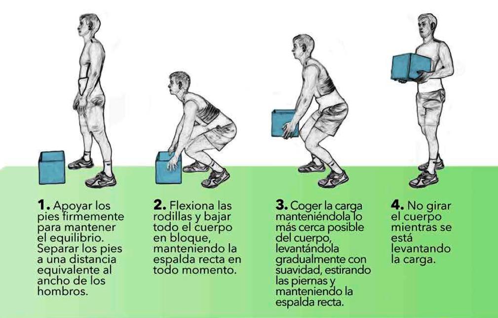 Prevenci N De Trastornos Musculoesquel Ticos Asaja Castilla Y Le N