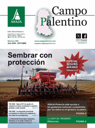 Campo Palentino | n.º 260 (Octubre 2024)