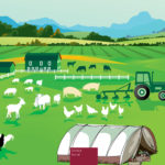 Guía europea sobre salud y seguridad de los trabajadores en la agricultura, ganadería, horticultura y silvicultura