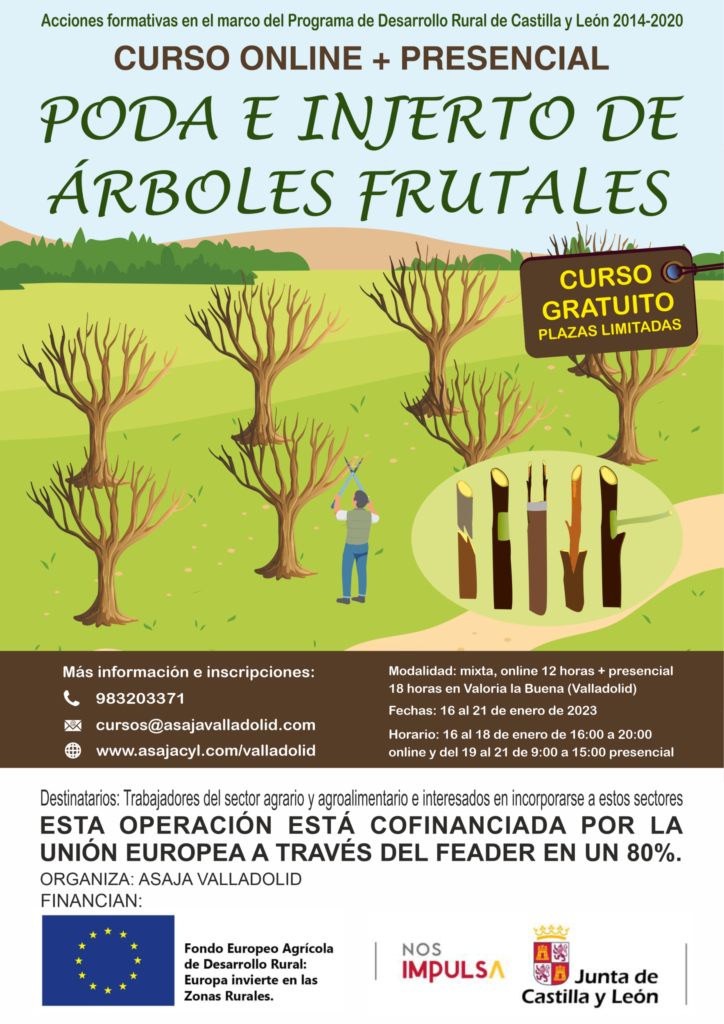 Curso gratuito de poda e injerto de árboles frutales - ASAJA Valladolid